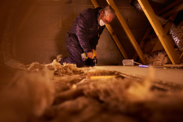 Trusted Gardendale, AL Insulation Experts